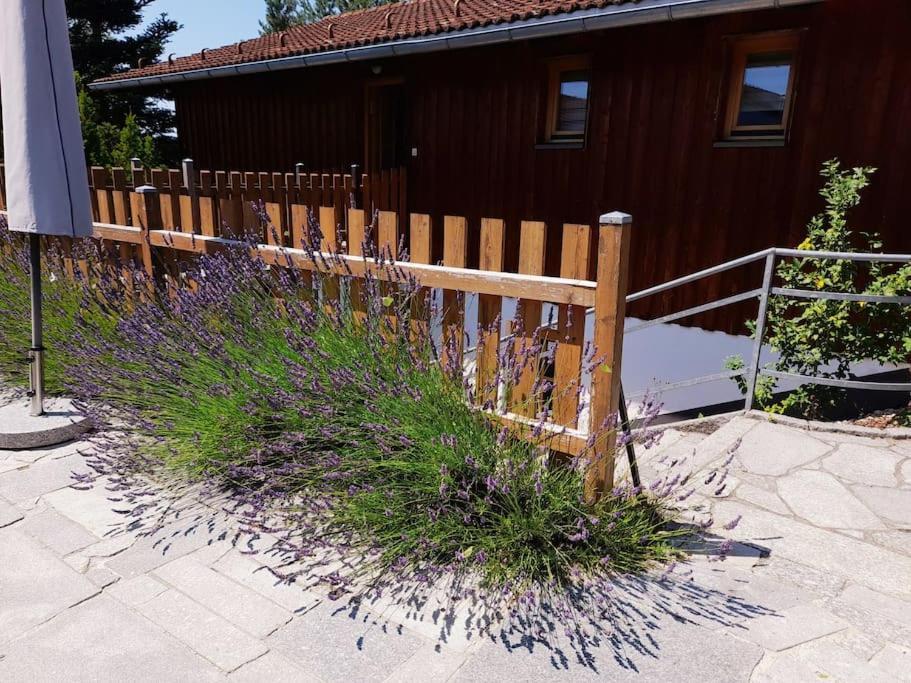 Schiebers Fewo2 Mit 6 Betten Thurmansbang Exterior photo